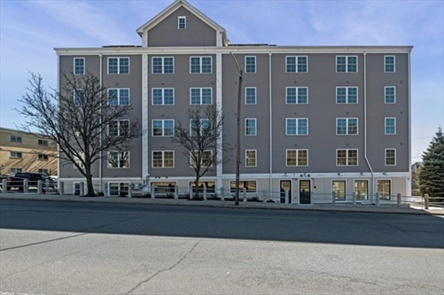 472 Essex Street, Apt 203